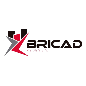 logo bricad